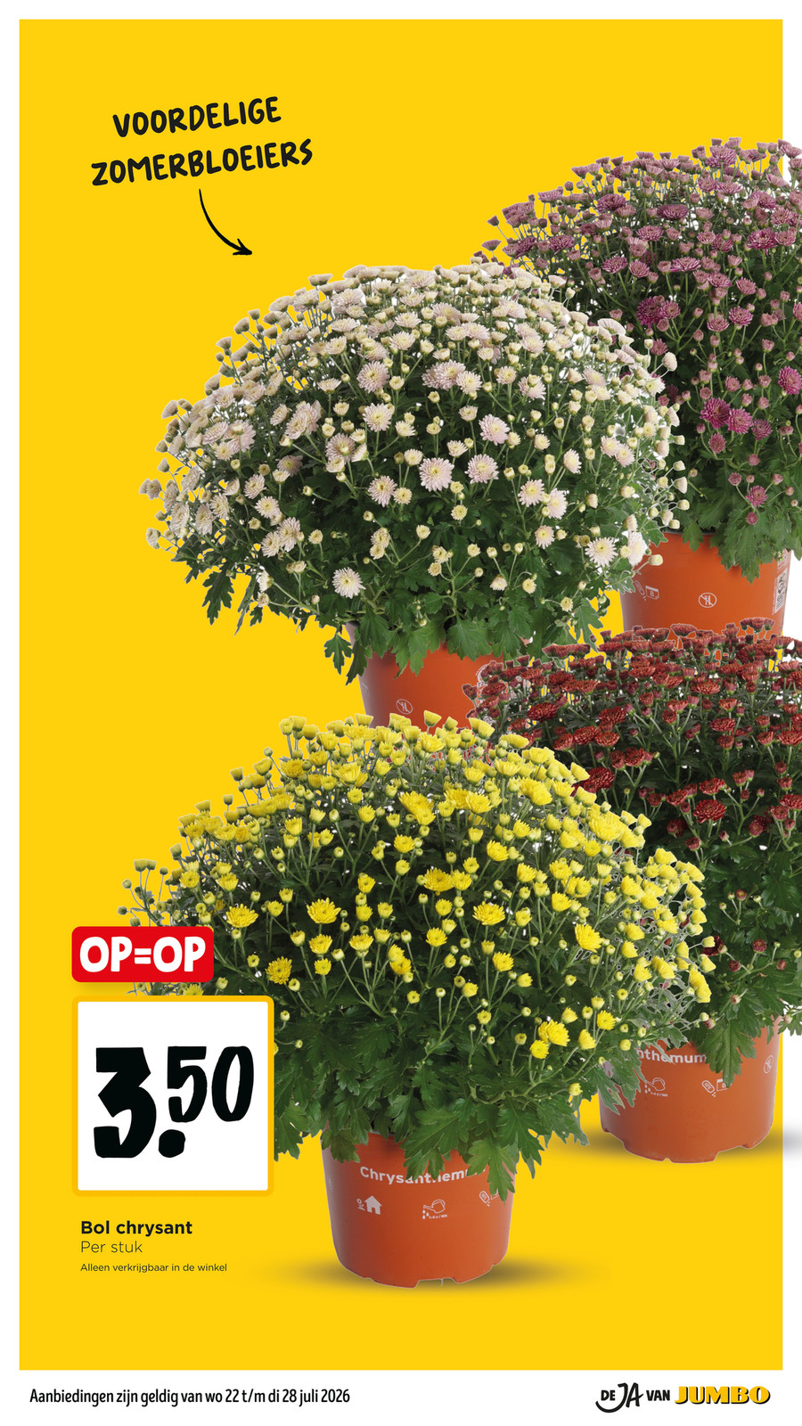 Jumbo catalog page 28 — 2026-07-22 to 2026-07-28