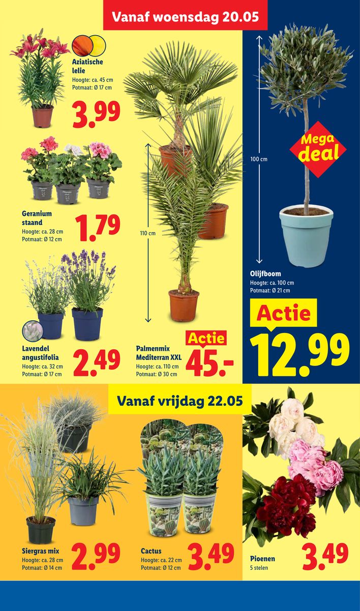 Lidl catalog page 29 — 2026-05-18 to 2026-05-23