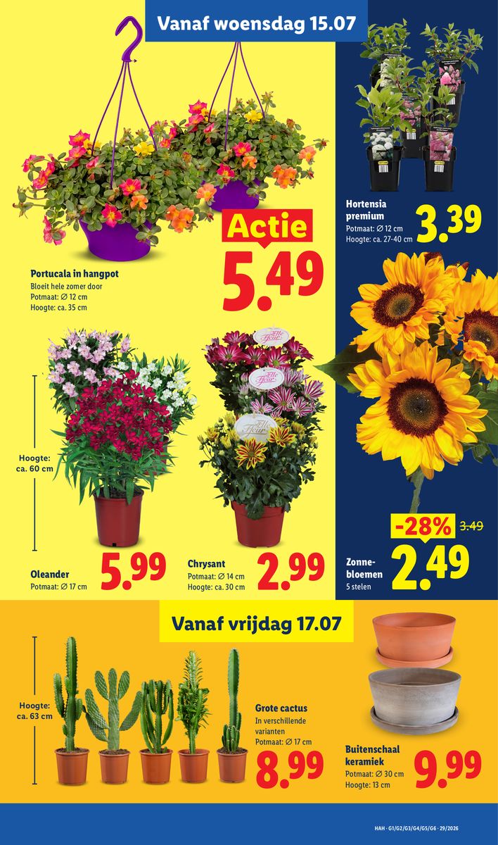 Lidl catalog page 17 — 2026-07-13 to 2026-07-18