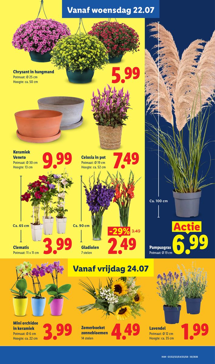 Lidl catalog page 14 — 2026-07-20 to 2026-07-25