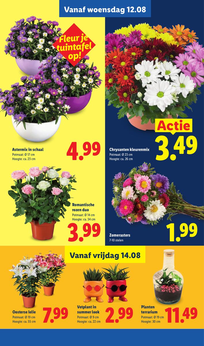 Lidl catalog page 16 — 2026-08-10 to 2026-08-15
