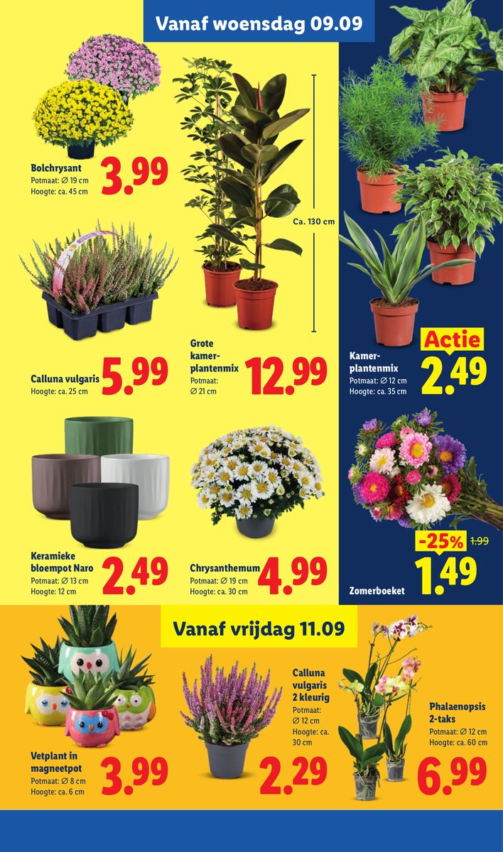 Lidl catalog page 36 — 2026-09-07 to 2026-09-12