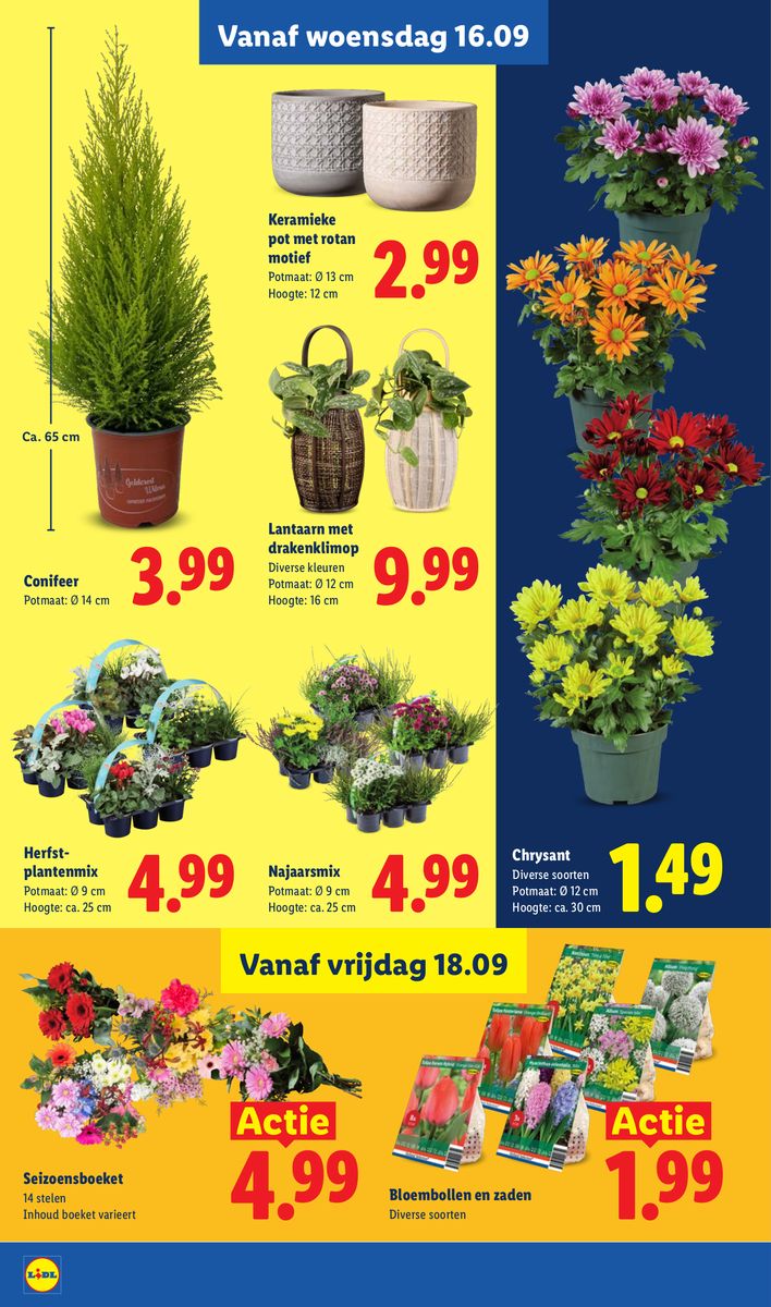 Lidl catalog page 17 — 2026-09-14 to 2026-09-19