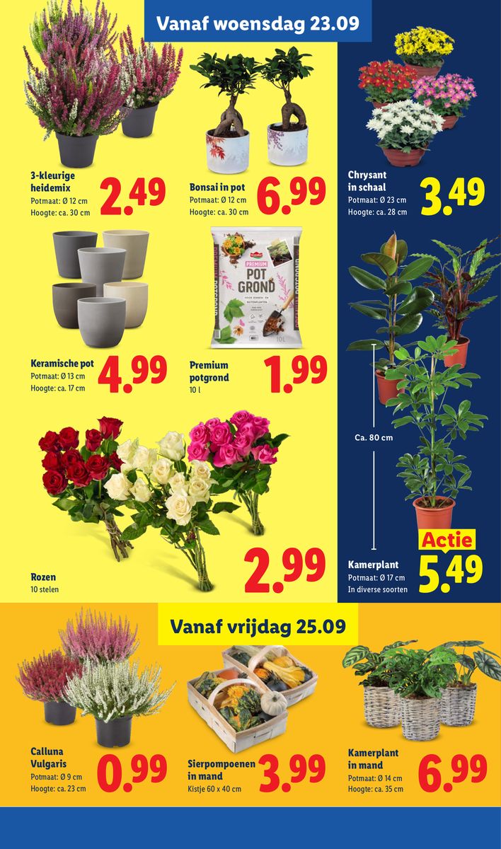 Lidl catalog page 16 — 2026-09-21 to 2026-09-26