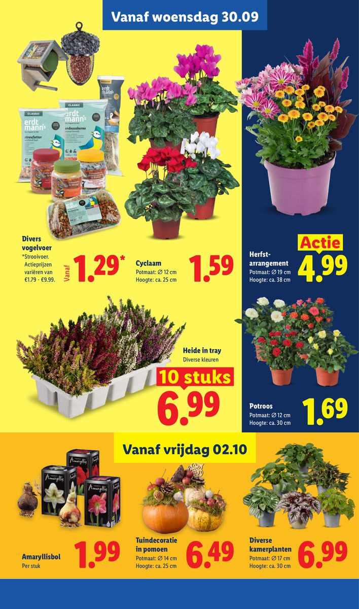 Lidl catalog page 22 — 2026-09-28 to 2026-10-03