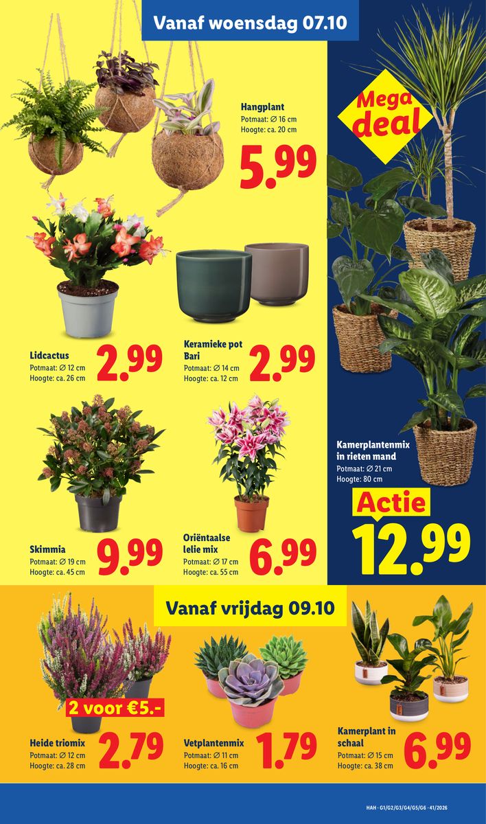 Lidl catalog page 13 — 2026-10-05 to 2026-10-10