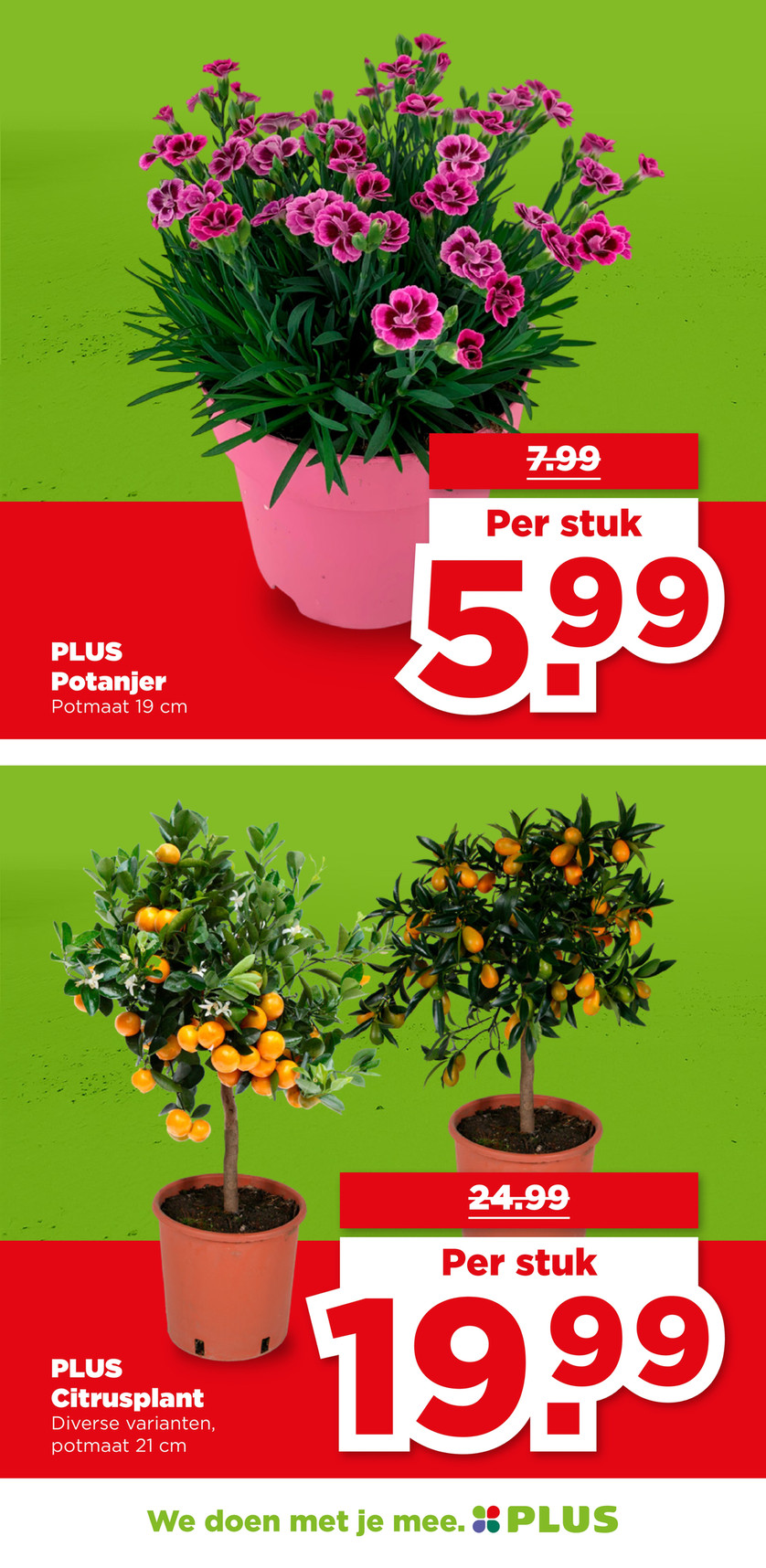 Plus catalog page 41 — 2026-05-11 to 2026-05-16