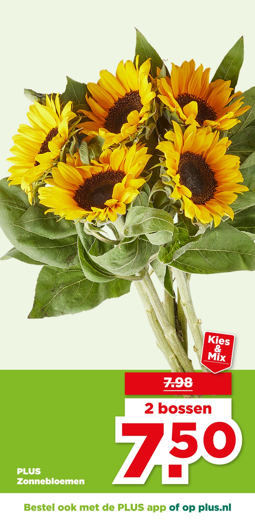 Plus catalog page 41 — 2026-07-06 to 2026-07-11