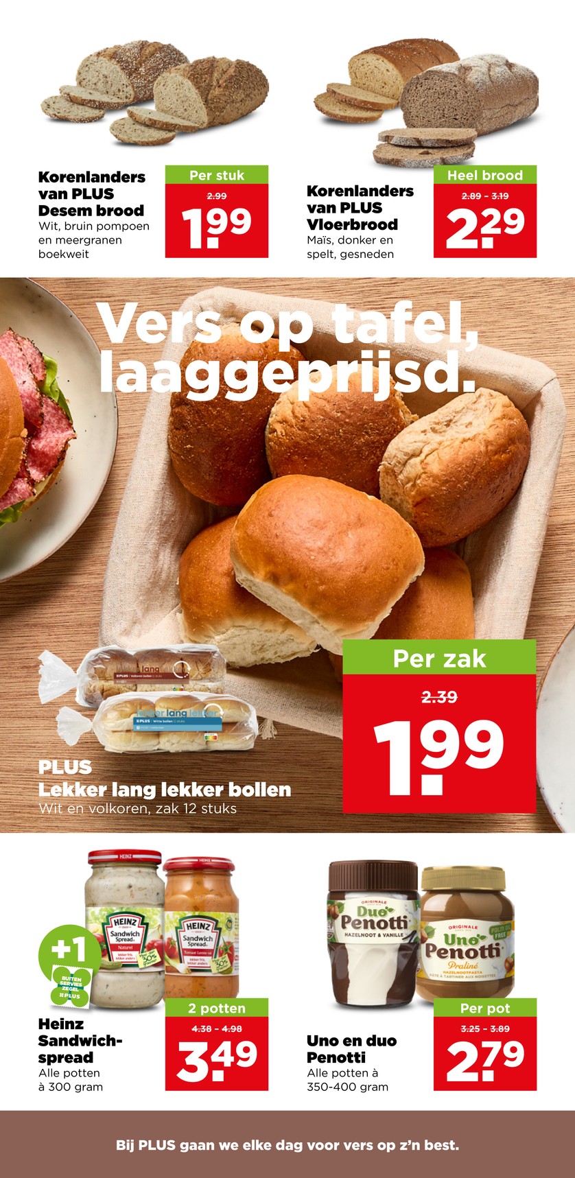 Plus catalog page 13 — 2026-07-13 to 2026-07-18