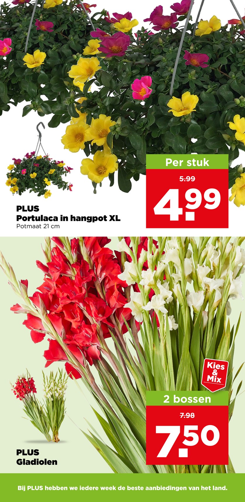 Plus catalog page 39 — 2026-07-13 to 2026-07-18
