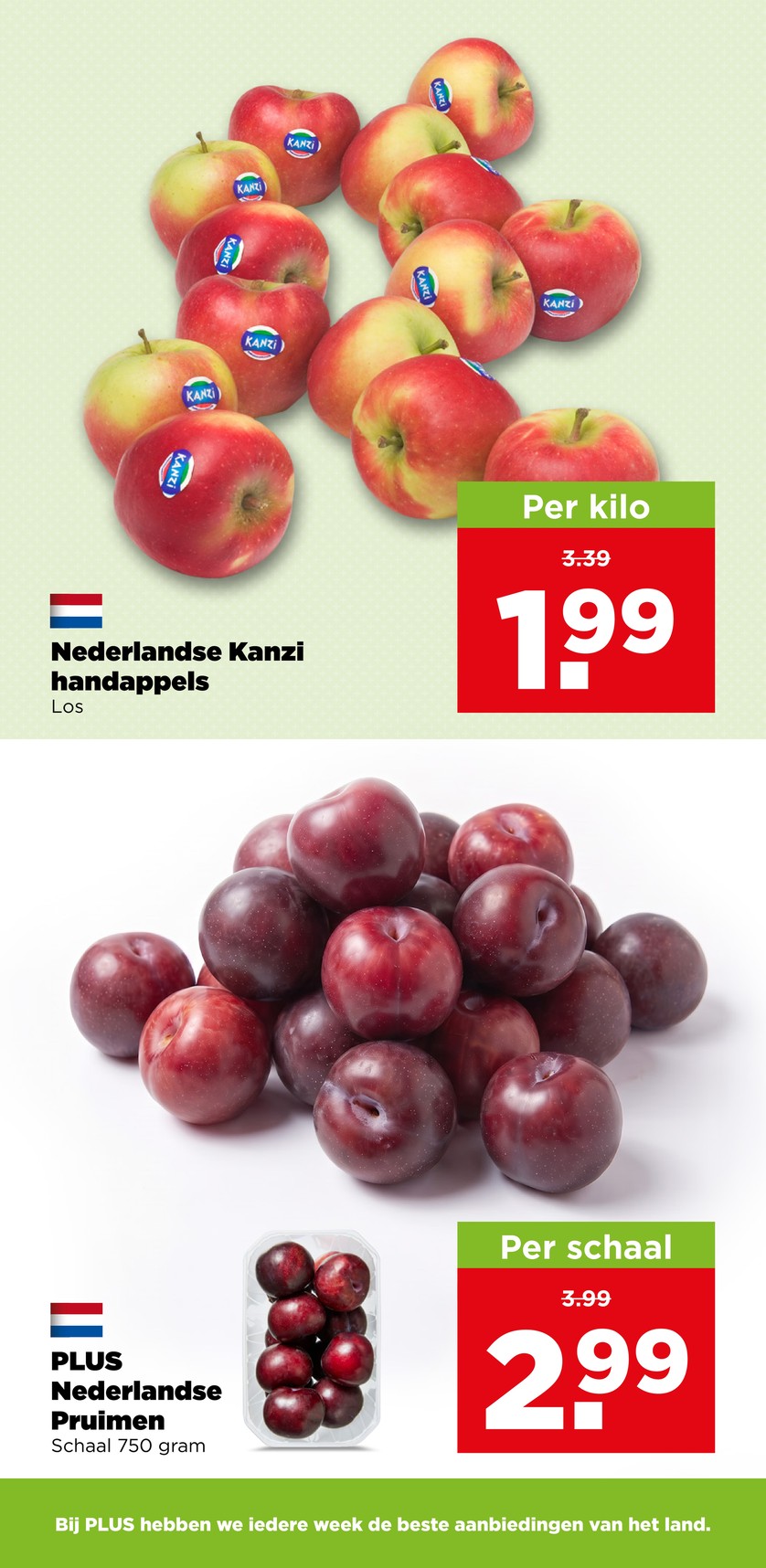 Plus catalog page 8 — 2026-08-10 to 2026-08-15