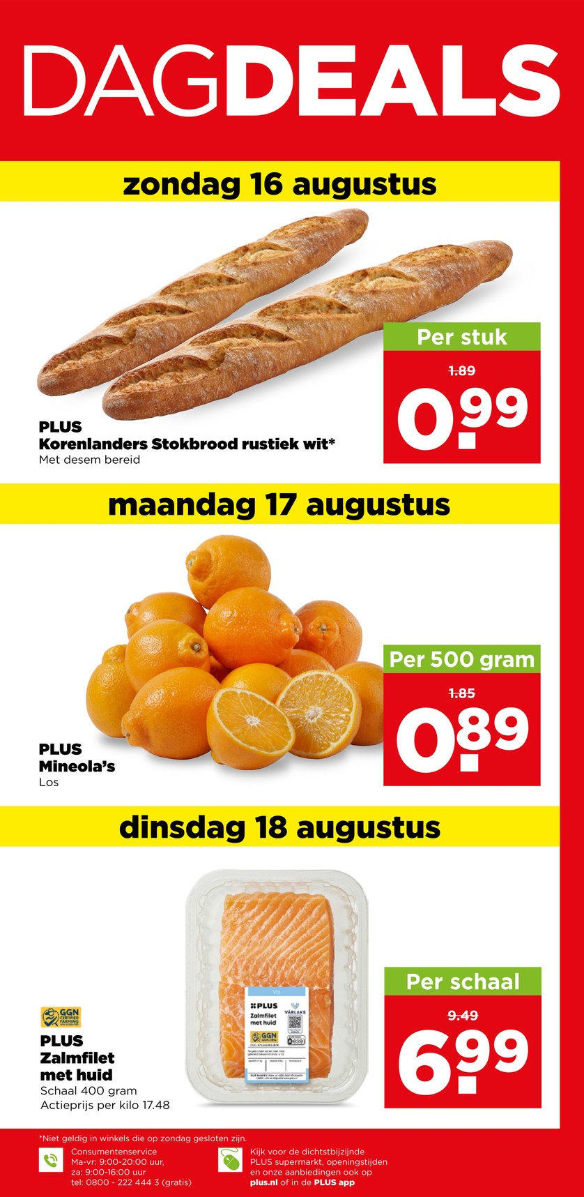 Plus catalog page 37 — 2026-08-10 to 2026-08-15