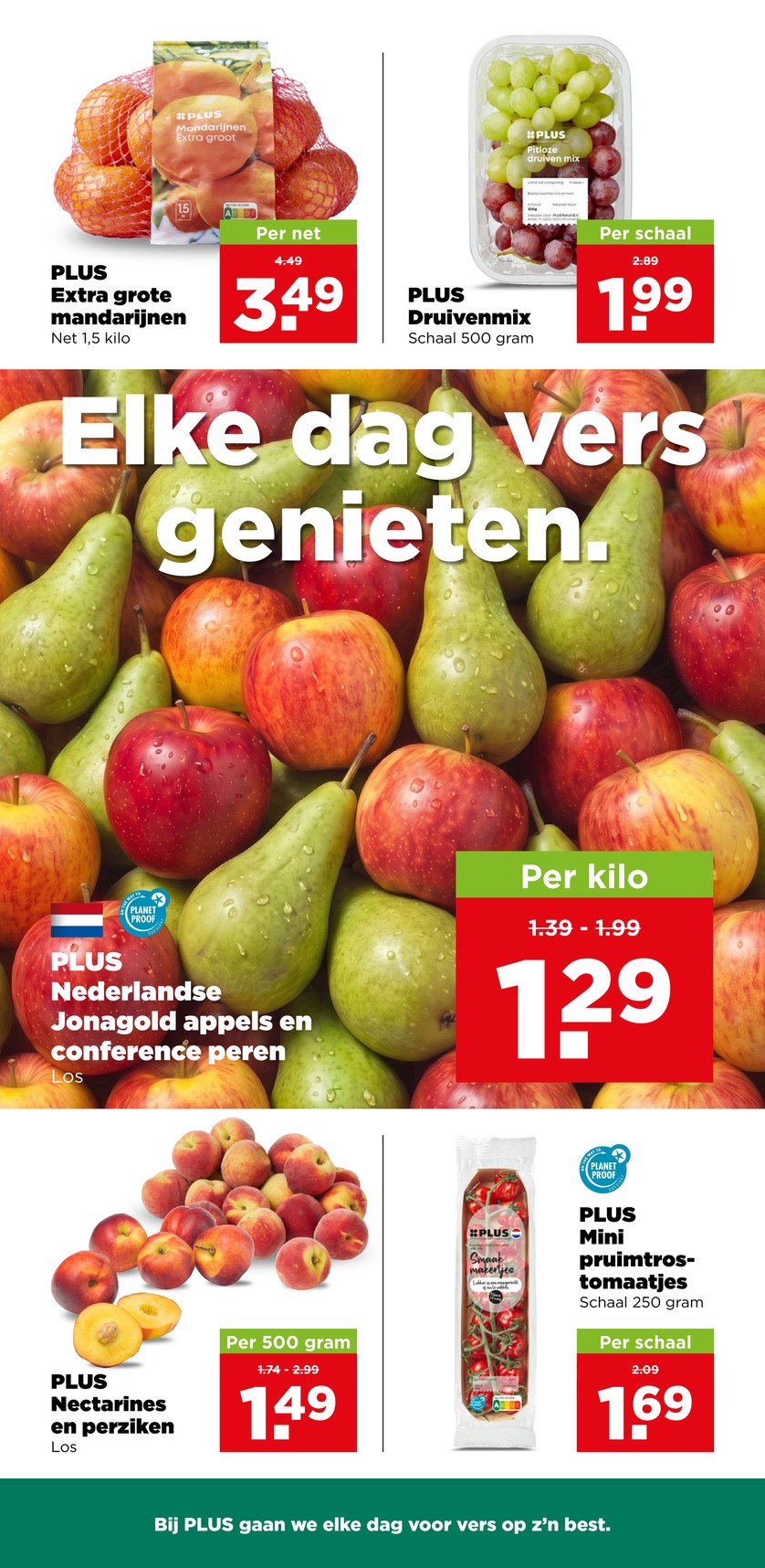 Plus catalog page 8 — 2026-09-07 to 2026-09-12