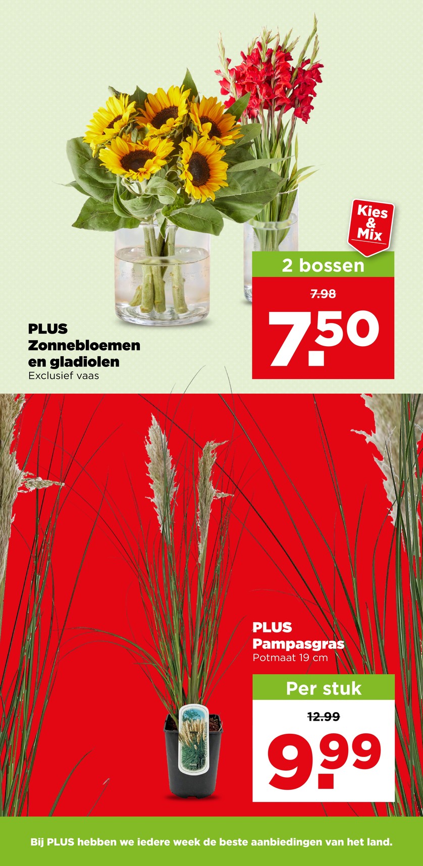 Plus catalog page 41 — 2026-09-07 to 2026-09-12