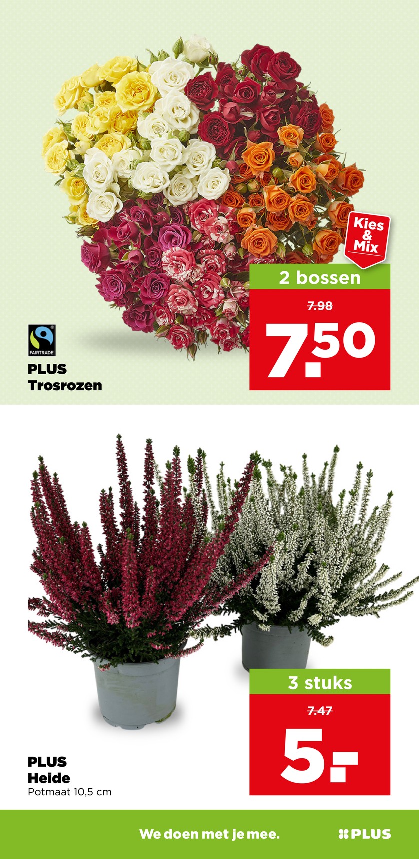 Plus catalog page 37 — 2026-09-21 to 2026-09-26
