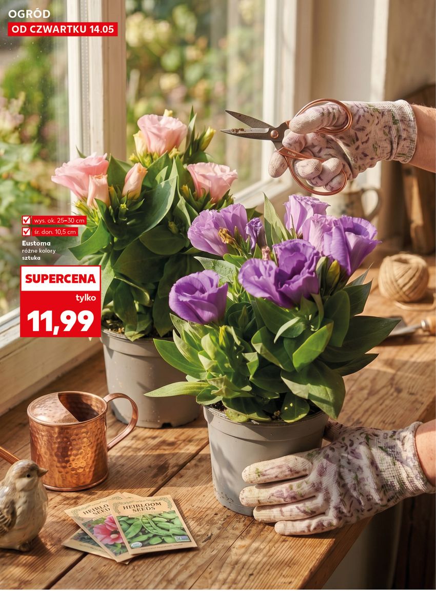Kaufland catalog page 10 — 2026-05-14 to 2026-05-20