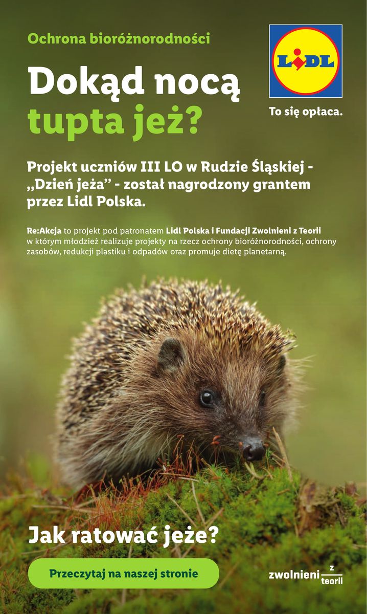 Lidl catalog page 53 — 2026-06-29 to 2026-06-29