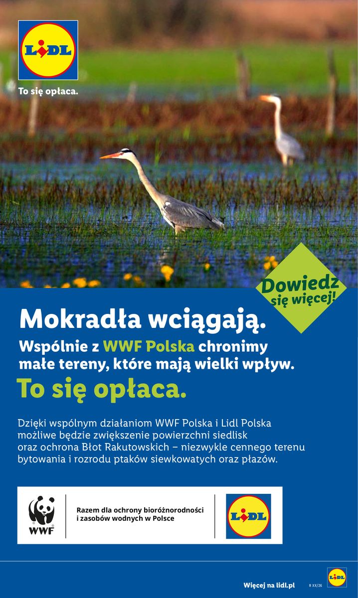 Lidl catalog page 84 — 2026-06-29 to 2026-07-01