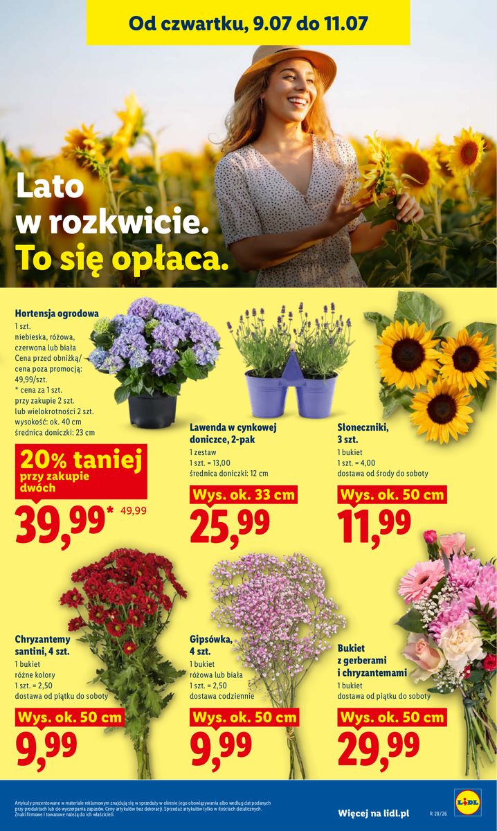 Lidl catalog page 85 — 2026-07-09 to 2026-07-11