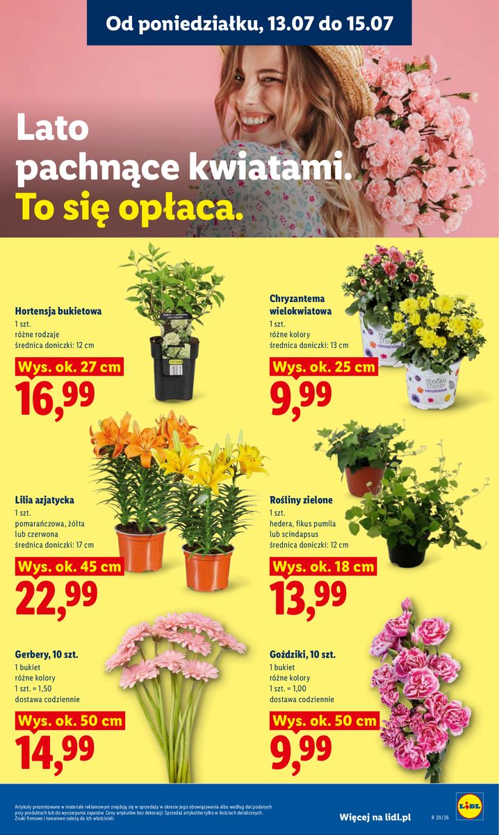 Lidl catalog page 87 — 2026-07-13 to 2026-07-15