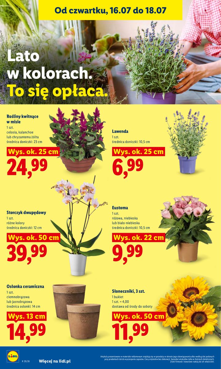 Lidl catalog page 98 — 2026-07-16 to 2026-07-18