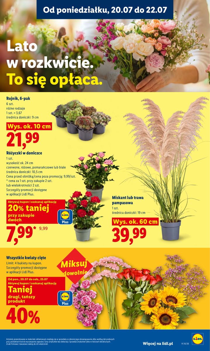 Lidl catalog page 99 — 2026-07-20 to 2026-07-22