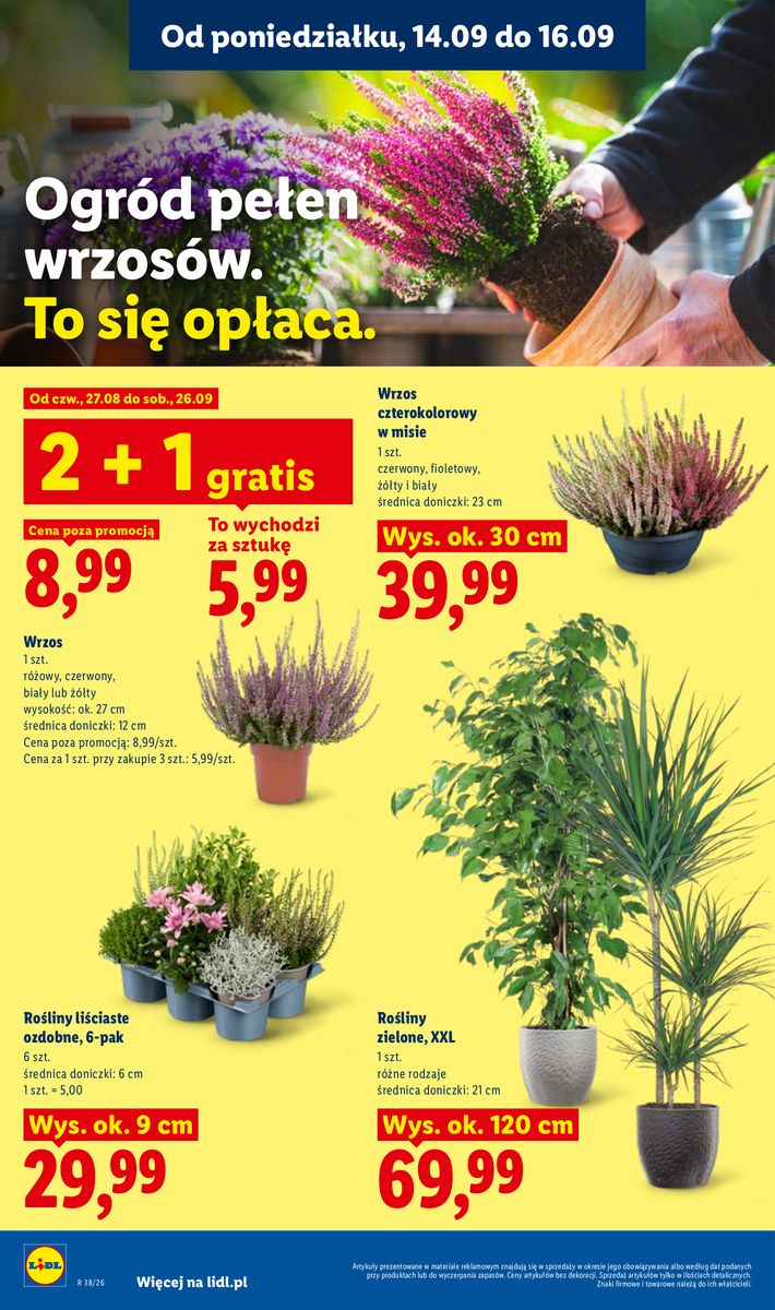 Lidl catalog page 84 — 2026-09-14 to 2026-09-16