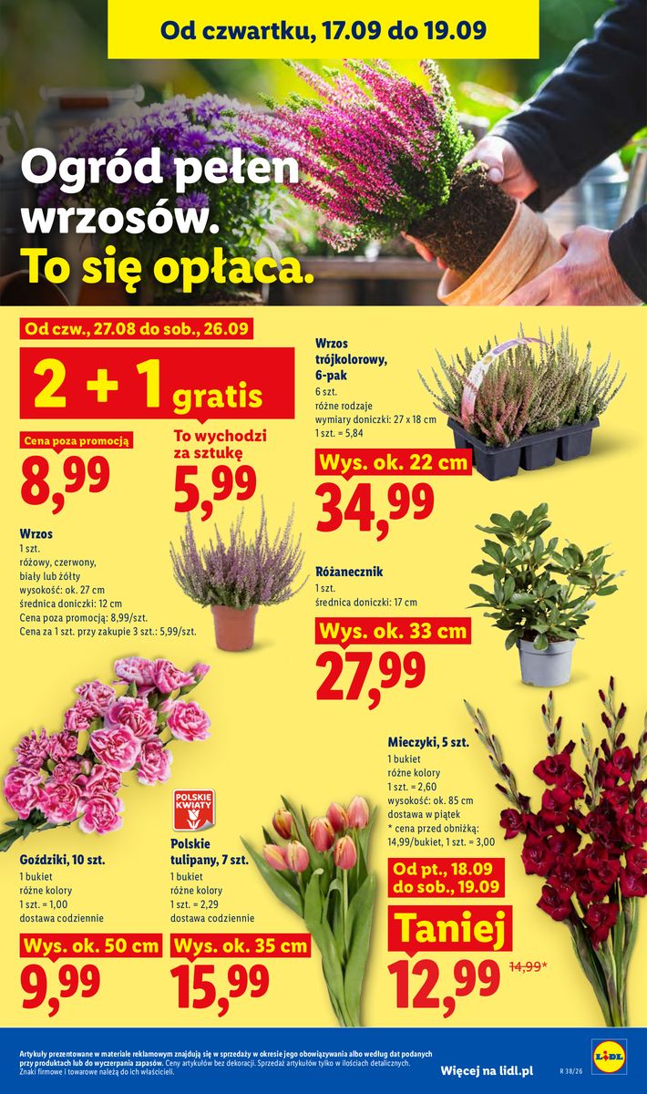 Lidl catalog page 85 — 2026-09-17 to 2026-09-19