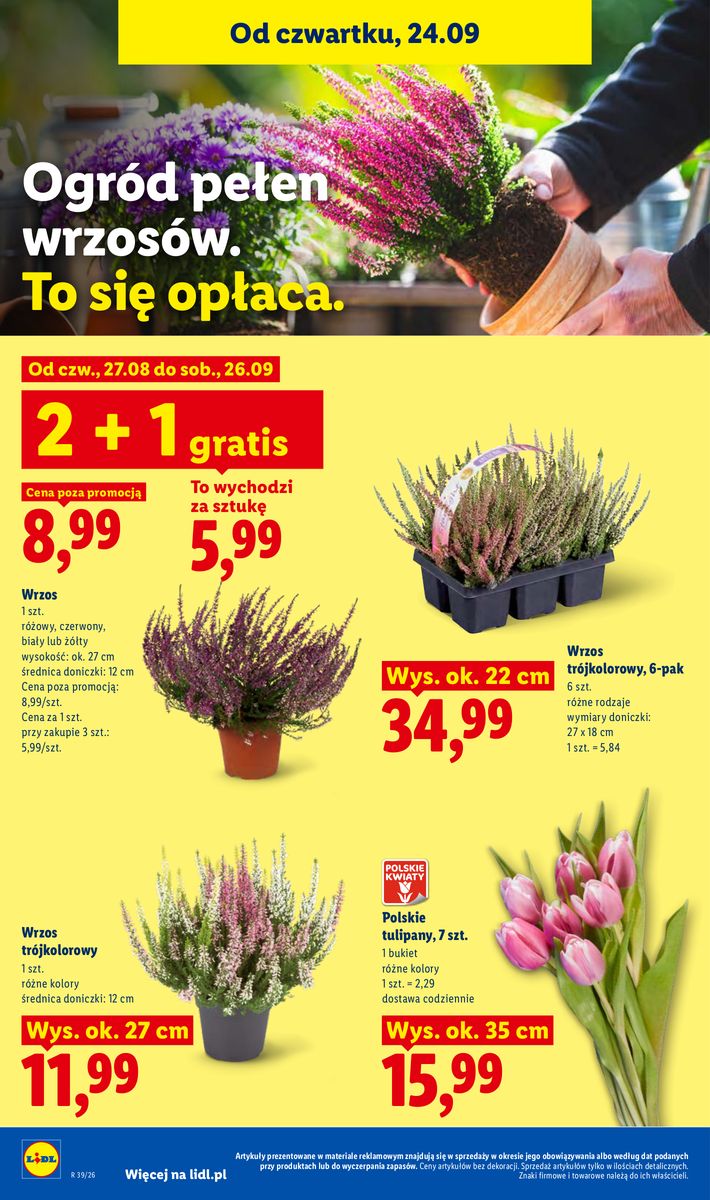 Lidl catalog page 100 — 2026-09-24 to 2026-09-26