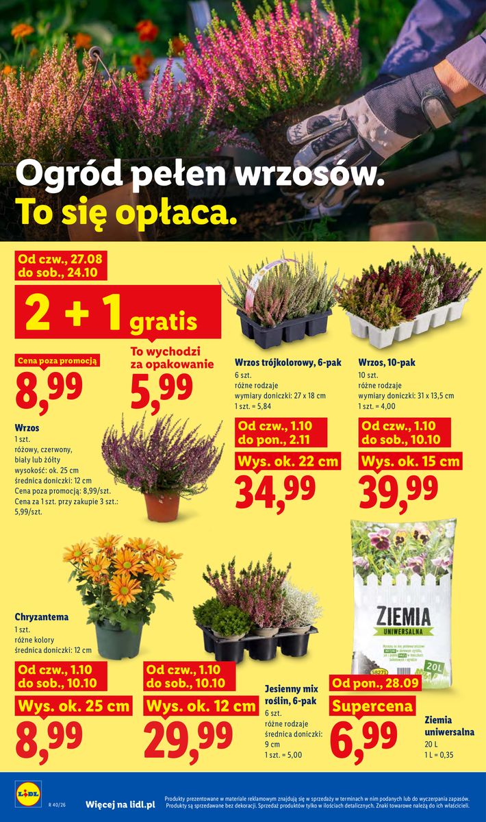 Lidl catalog page 98 — 2026-10-01 to 2026-10-03