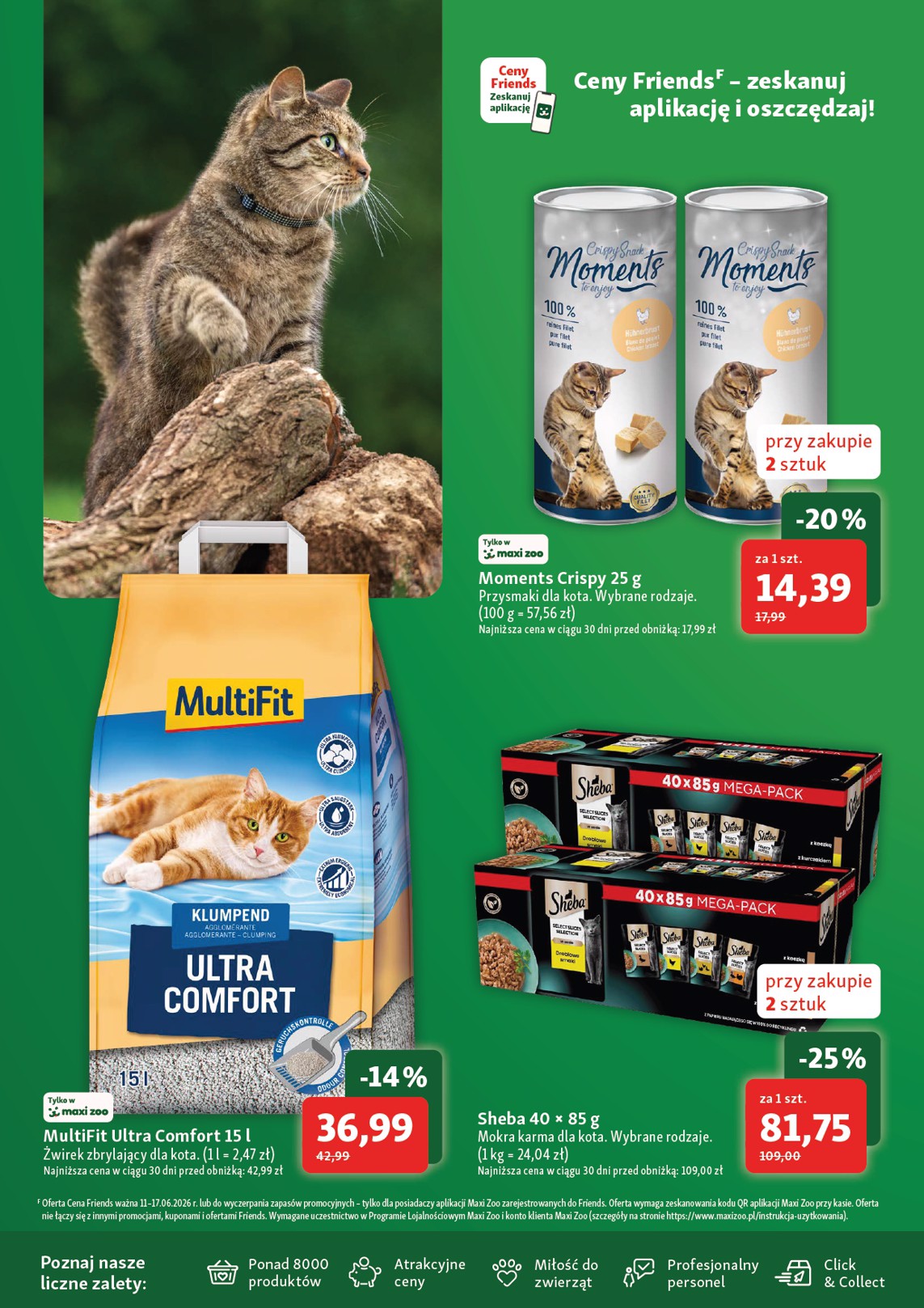 Maxi Zoo catalog page 16 — 2026-06-18 to 2026-07-08