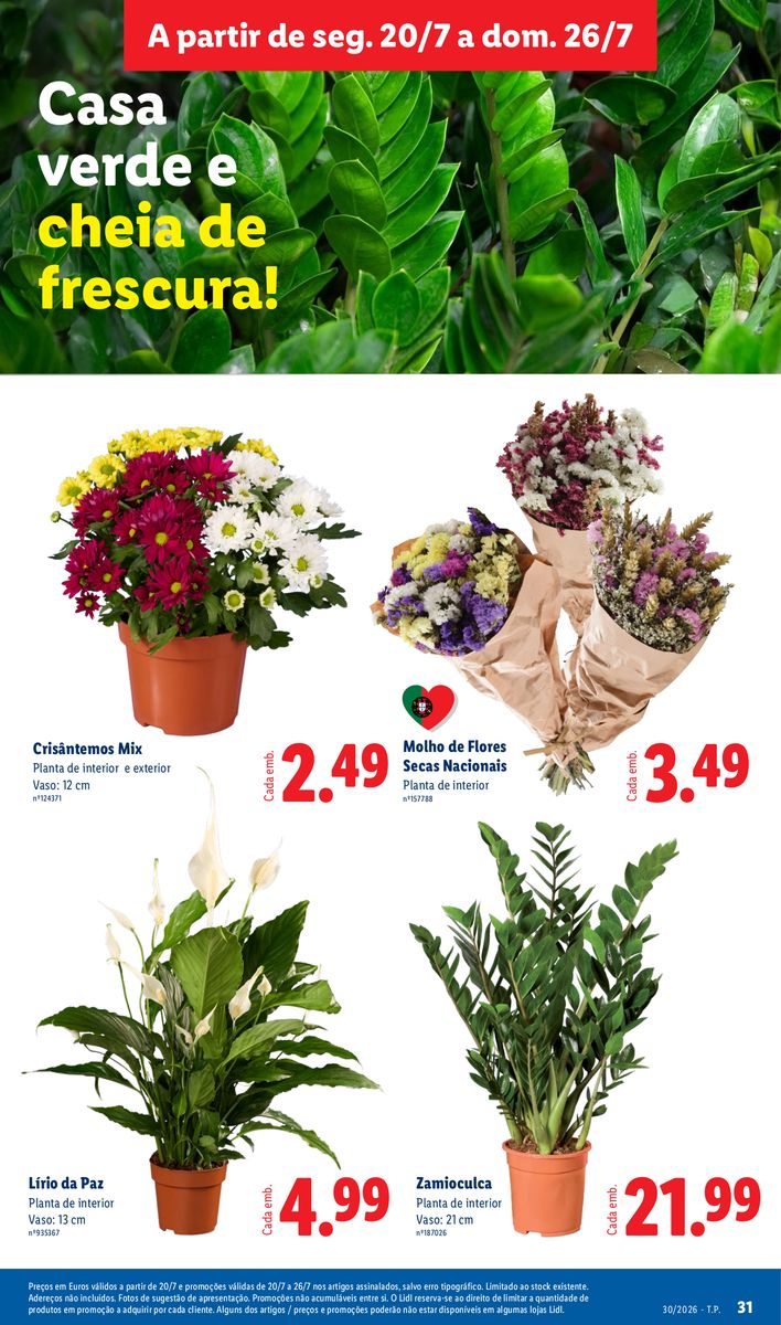 Lidl catalog page 31 — 2026-07-20 to 2026-07-20