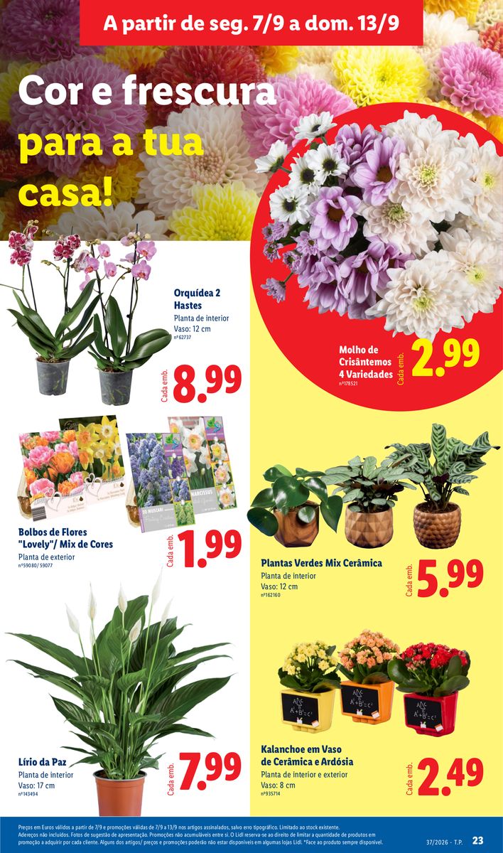 Lidl catalog page 25 — 2026-09-07 to 2026-09-07