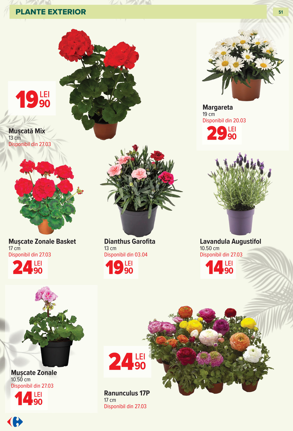 Carrefour catalog page 51 — 2026-03-11 to 2026-05-12