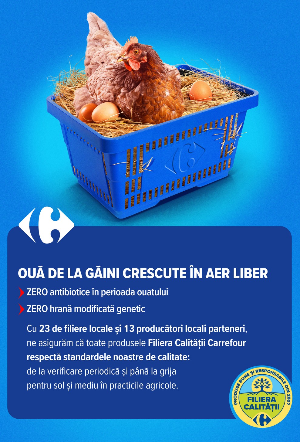 Carrefour catalog page 4 — 2026-07-01 to 2026-07-14