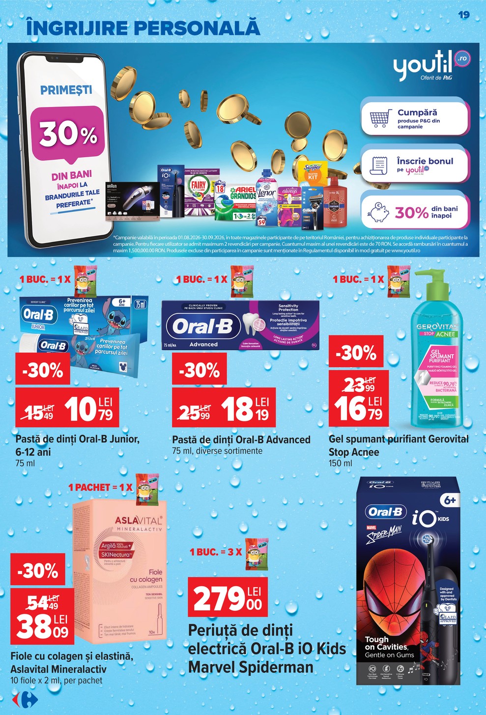 Carrefour catalog page 19 — 2026-09-09 to 2026-09-22