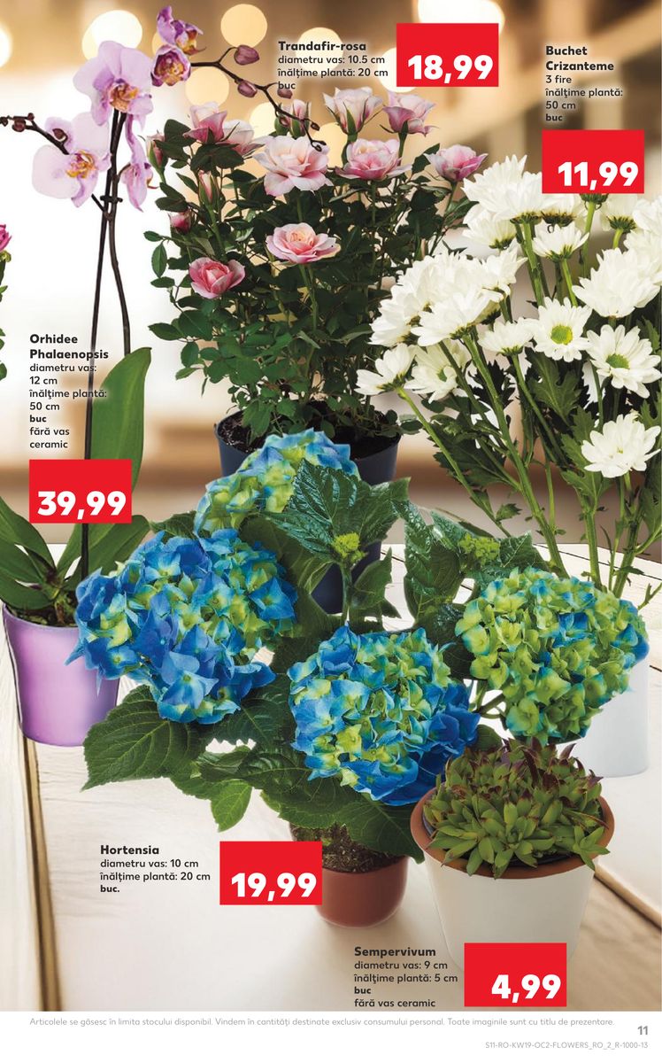 Kaufland catalog page 11 — 2026-05-06 to 2026-05-12