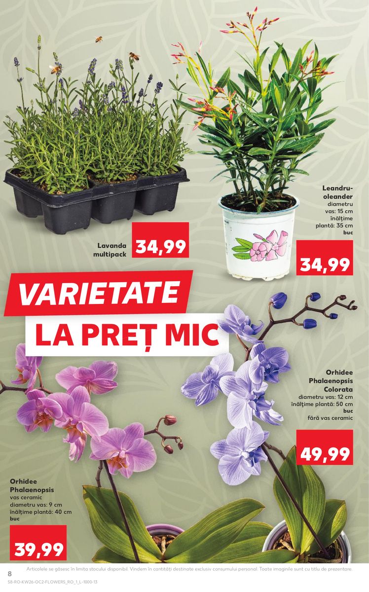 Kaufland catalog page 8 — 2026-06-24 to 2026-06-30