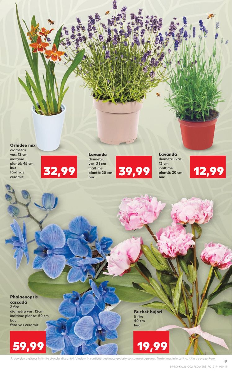 Kaufland catalog page 9 — 2026-06-24 to 2026-06-30