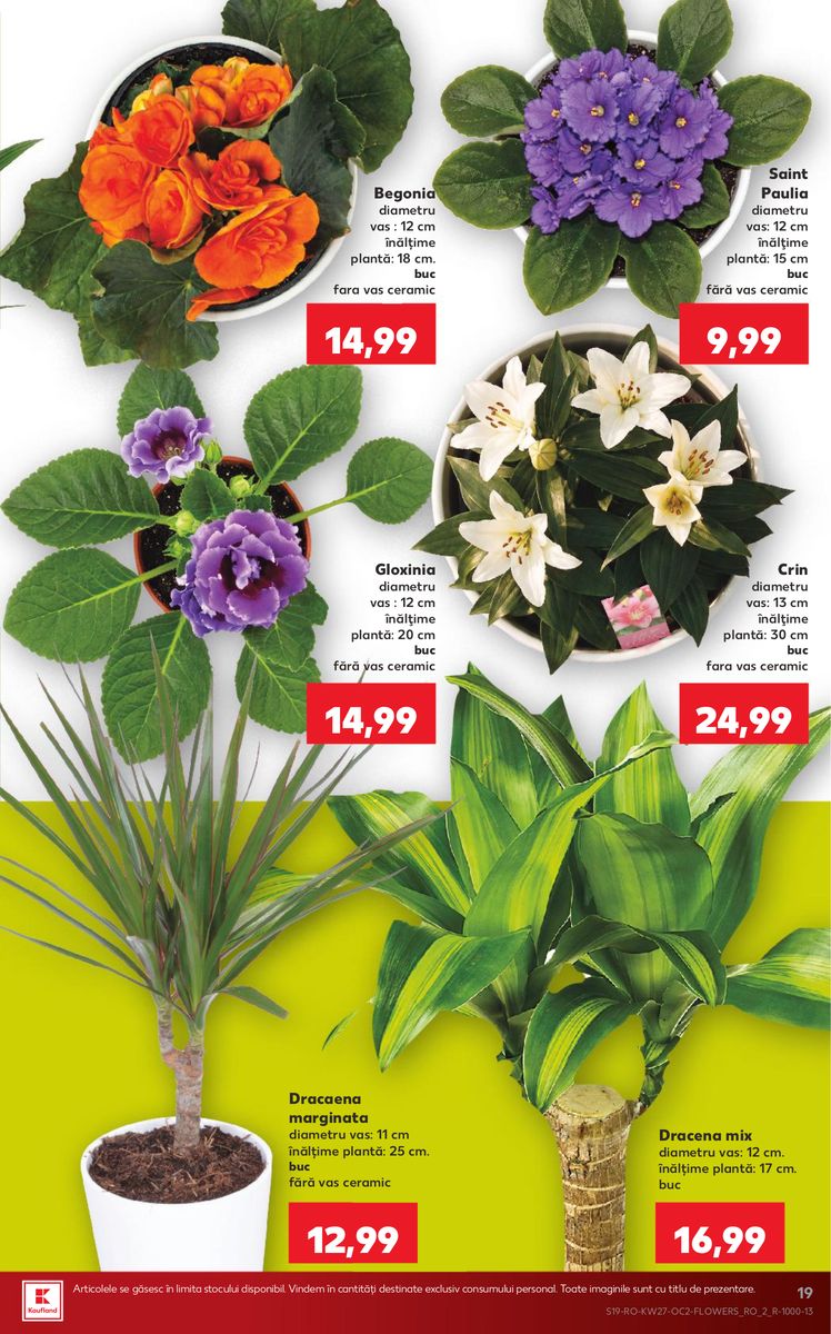Kaufland catalog page 19 — 2026-07-01 to 2026-07-07