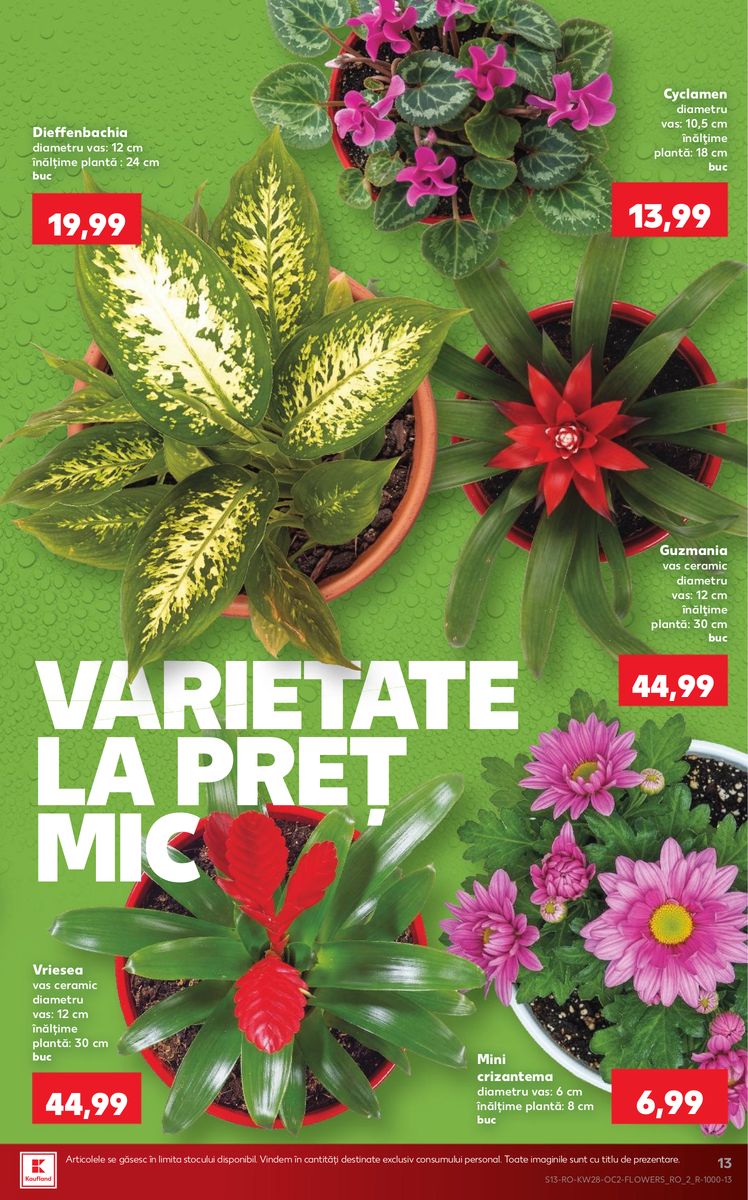 Kaufland catalog page 13 — 2026-07-08 to 2026-07-14
