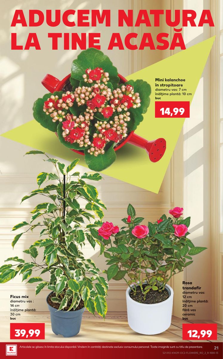 Kaufland catalog page 21 — 2026-07-15 to 2026-07-21