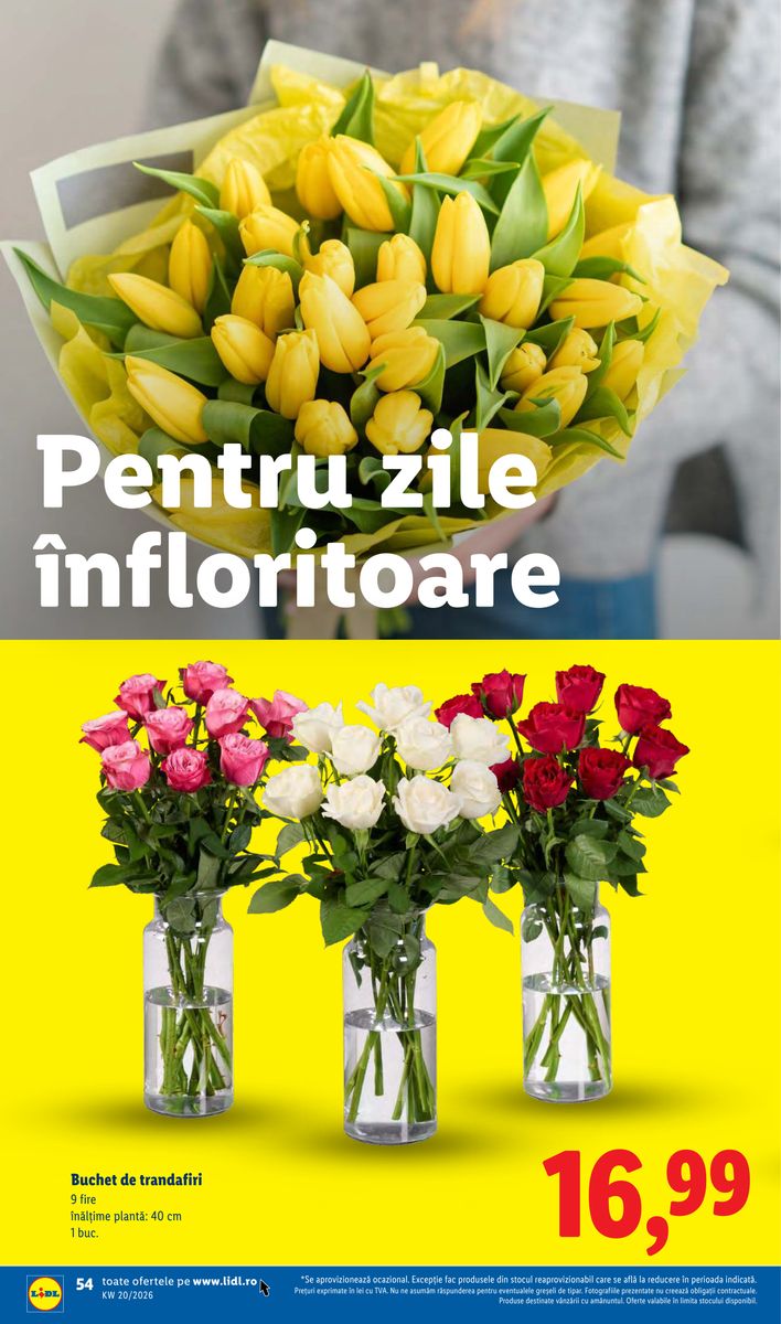 Lidl catalog page 54 — 2026-05-11 to 2026-05-17