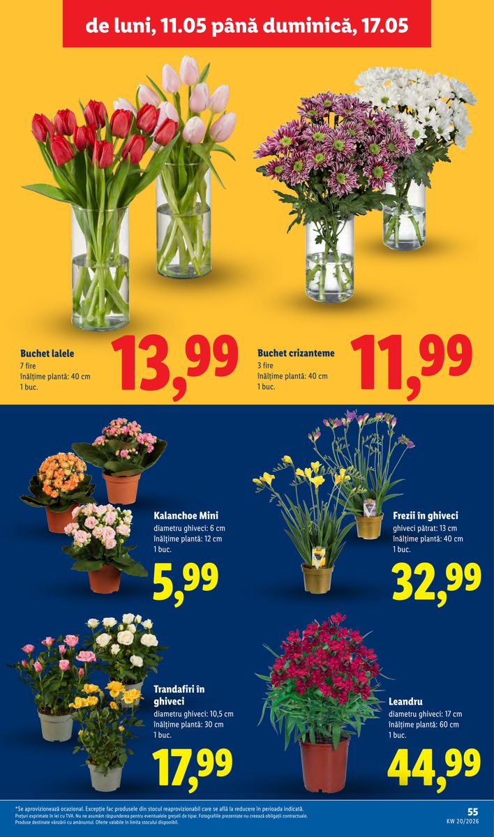 Lidl catalog page 55 — 2026-05-11 to 2026-05-17