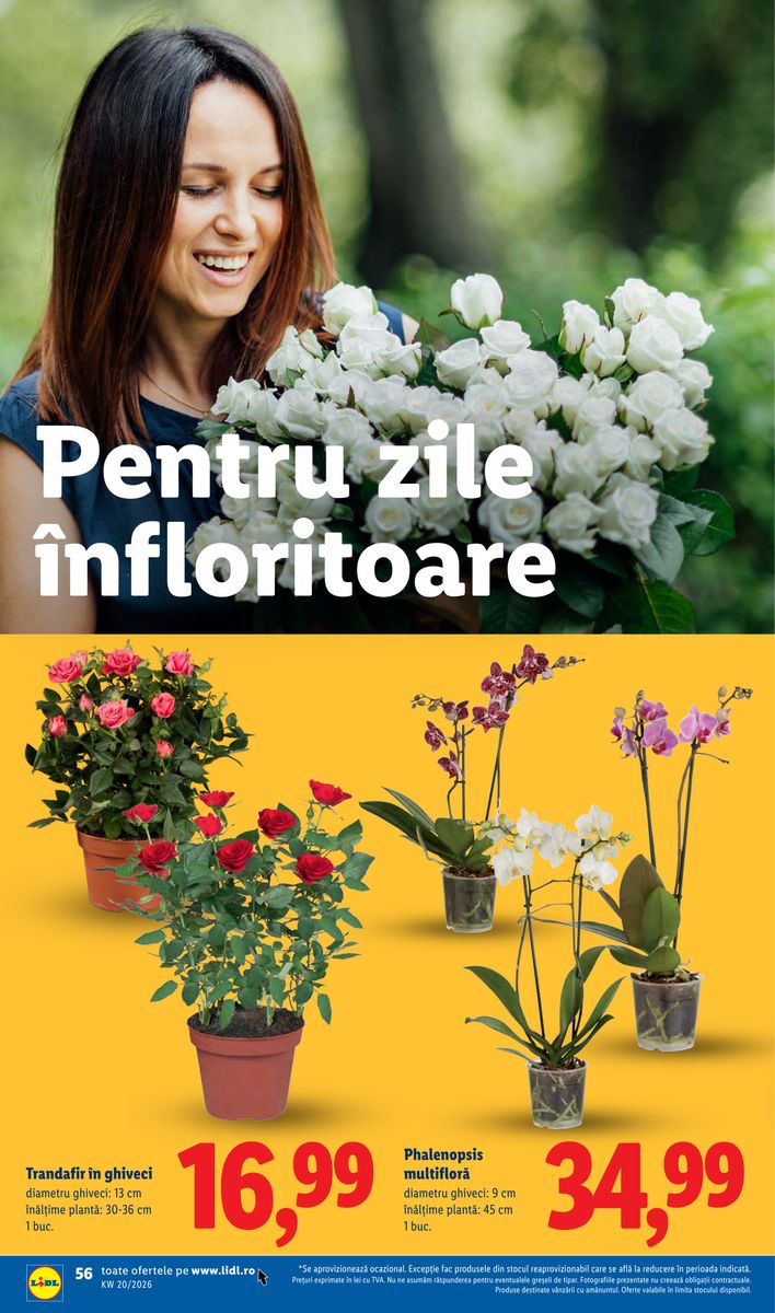 Lidl catalog page 56 — 2026-05-11 to 2026-05-17