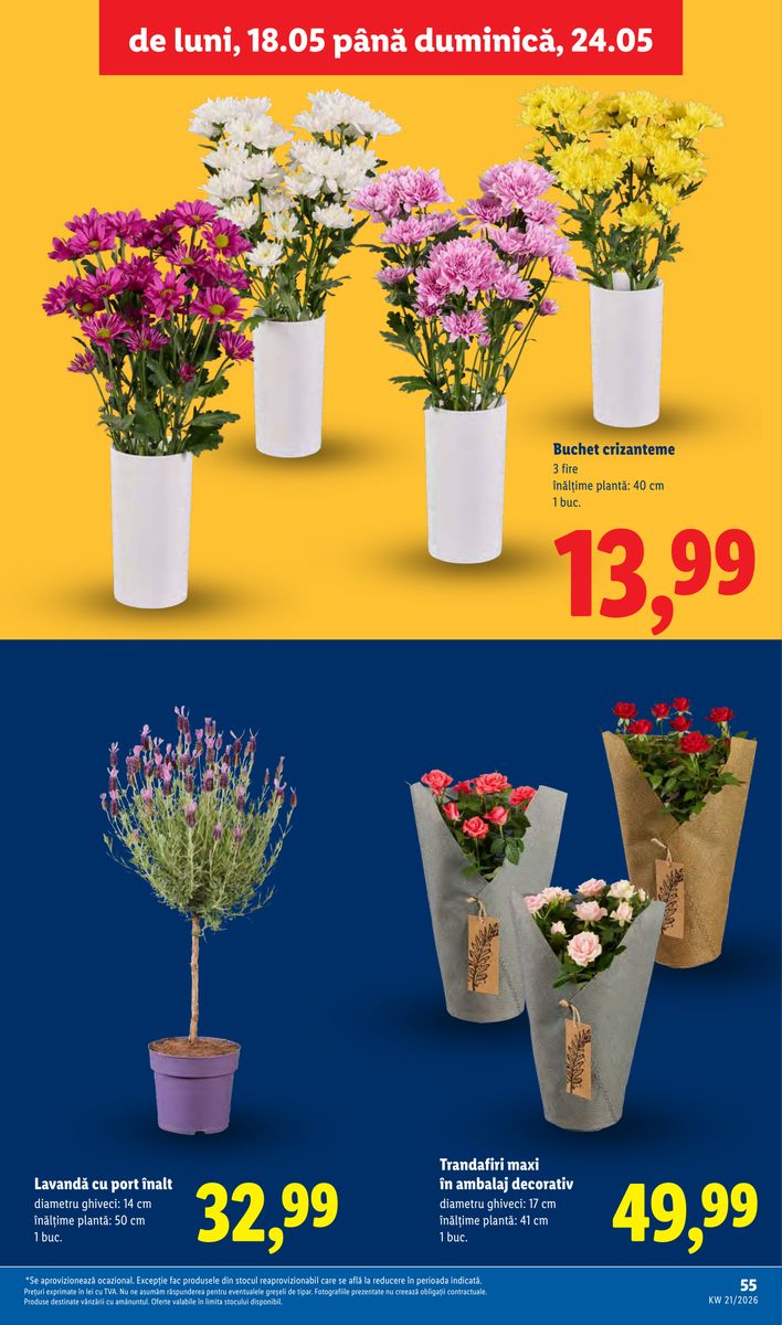 Lidl catalog page 55 — 2026-05-18 to 2026-05-24