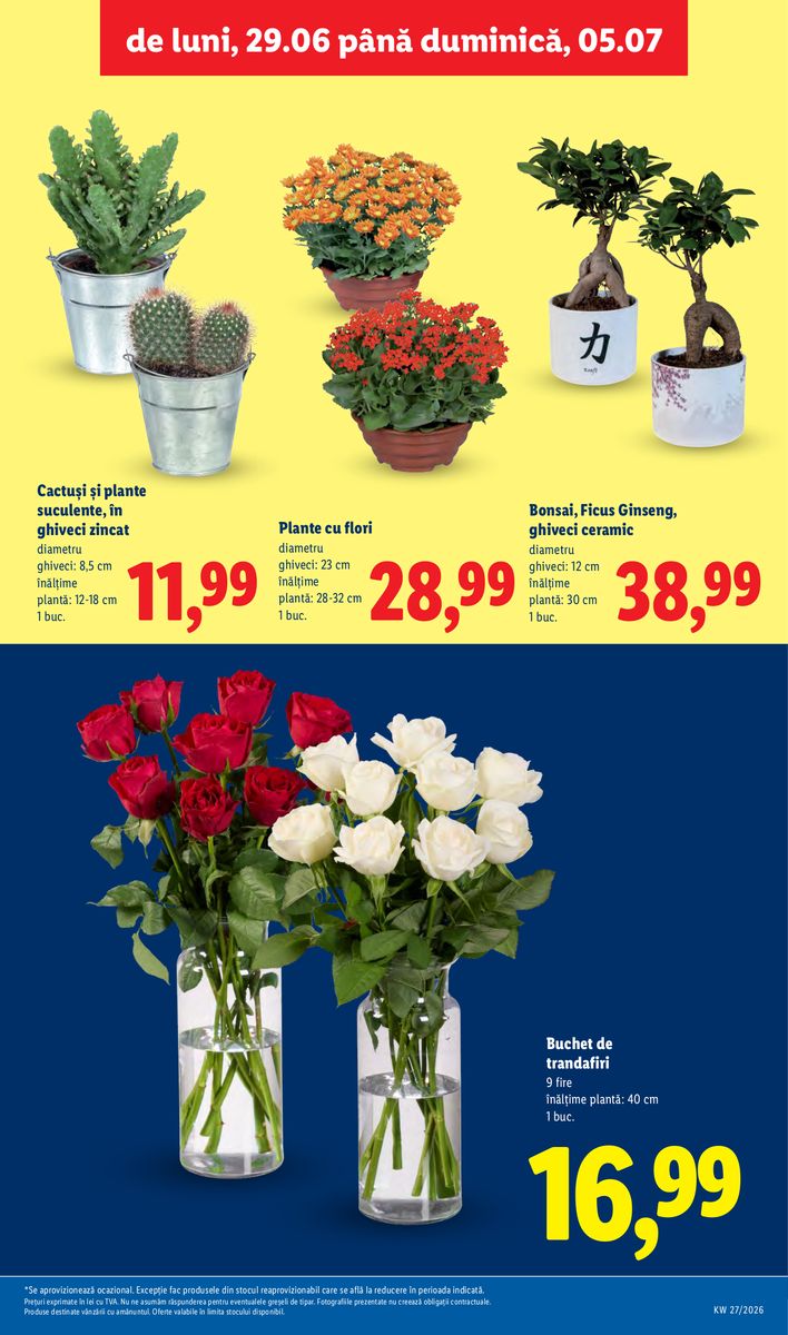 Lidl catalog page 57 — 2026-06-29 to 2026-07-05