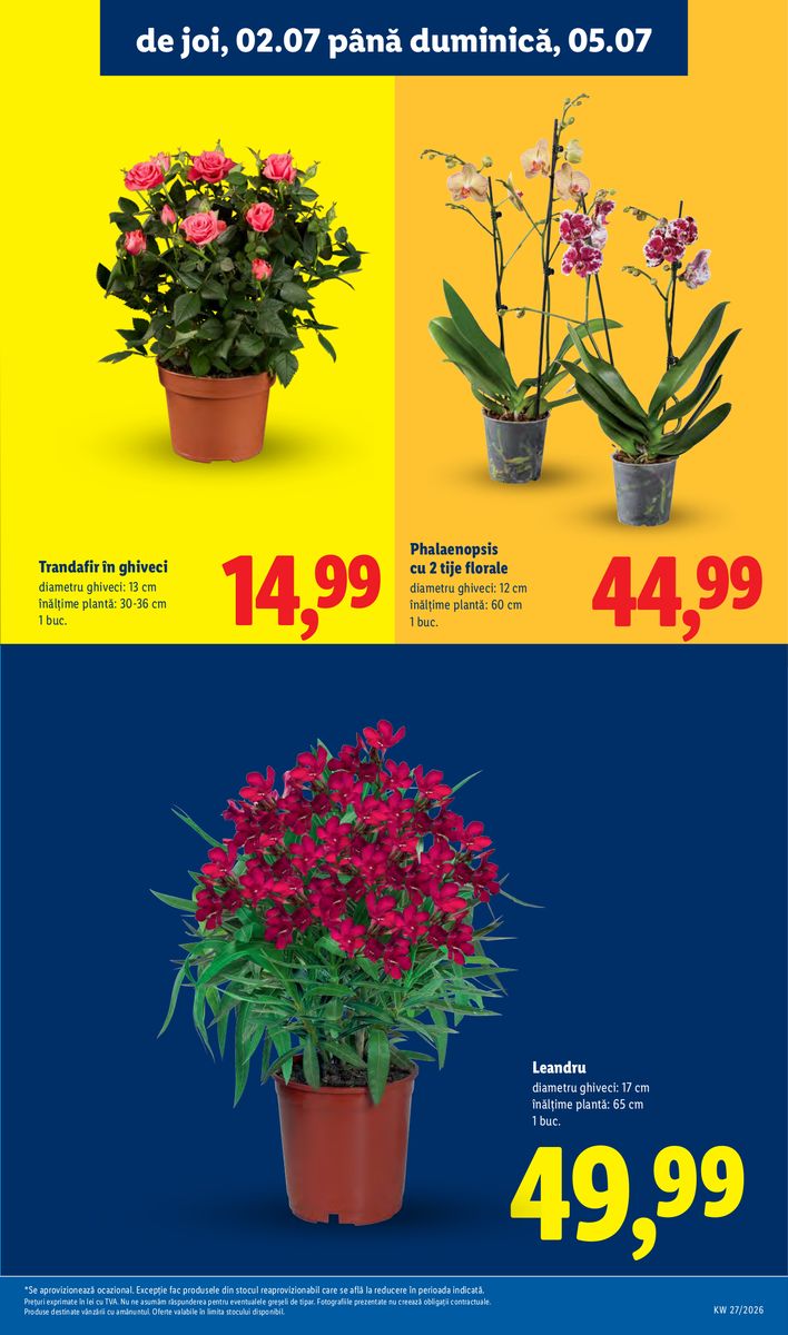 Lidl catalog page 59 — 2026-06-29 to 2026-07-05