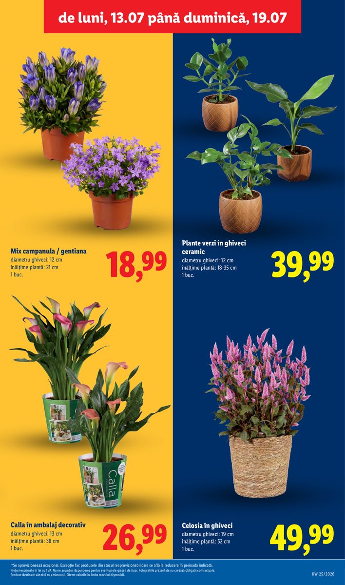 Lidl catalog page 57 — 2026-07-13 to 2026-07-19