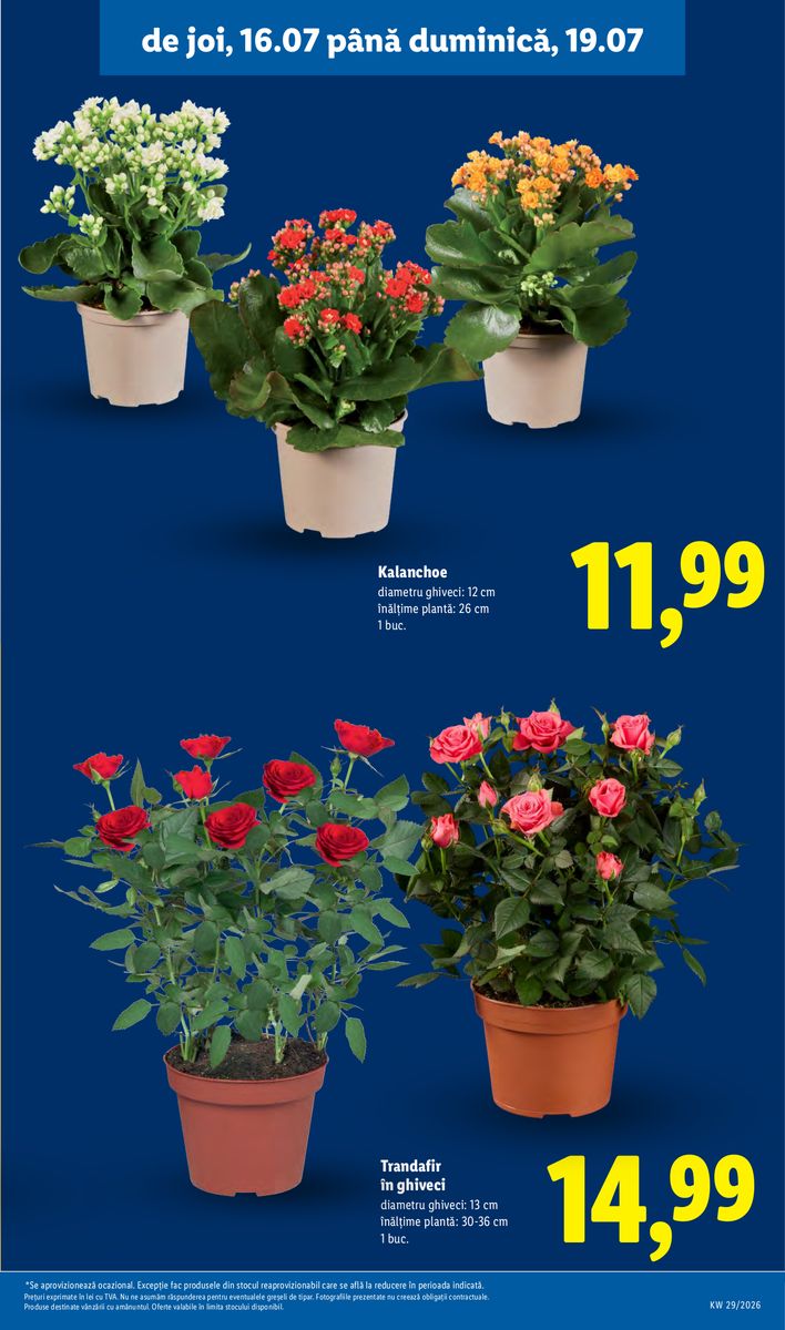 Lidl catalog page 59 — 2026-07-13 to 2026-07-19
